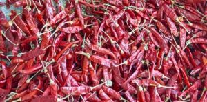 Dry Red Chilli