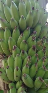 Organic Elaichi Banana
