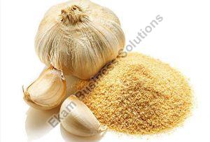 Dehydrated Garlic Powder