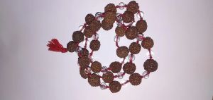 Rudraksha Crystal Mala