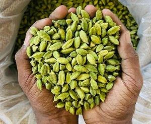 Green Cardamom