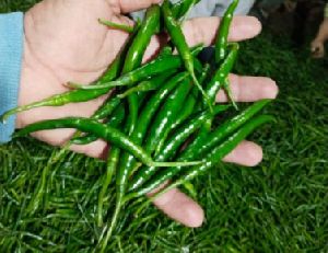 Green Chili