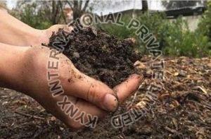 Biotech Grade Manure Fertilizer