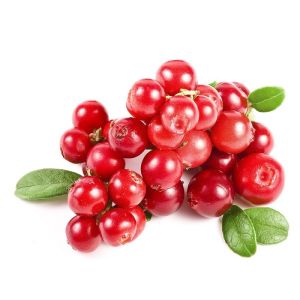 Fresh Cranberry