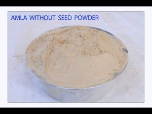 Amla Without Seeds Powder