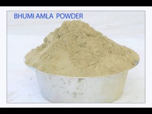 Bhumi Amla Powder