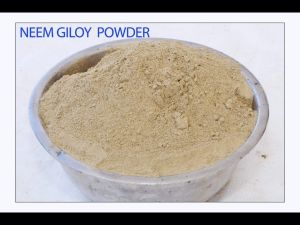 Neem Giloy Powder