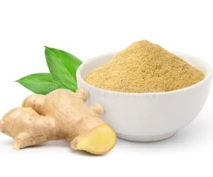 Dehydrated Ginger Powder