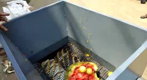 Automatic Food Waste Shredder Machine