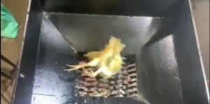 Chicken Waste Shredder Machine