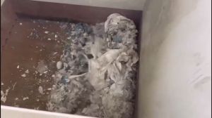 Jumbo Bag Shredder Machine