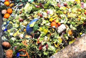 Semi Automatic Organic Waste Shredding Machine