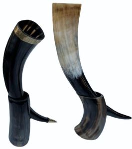 Buffalo Horn