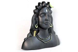 Plastic Adiyogi Wall Frame Golden