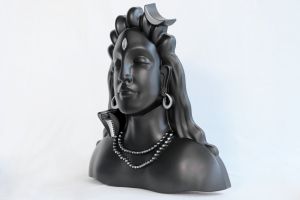 Plastic Adiyogi Wall Frame Silver