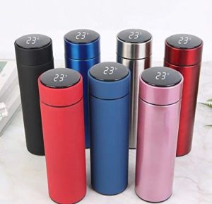 Stainless Steel Temperature Water Bottle, Capacity: 500 mL