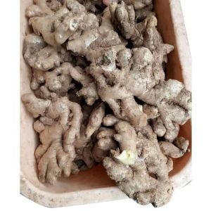 Dried Ginger Roots