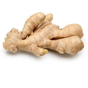 Fresh Ginger Roots