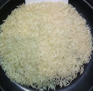 1401 Basmati Steam Rice