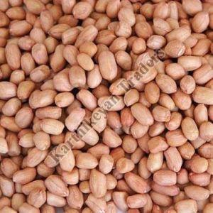 Dried Groundnut Kernels