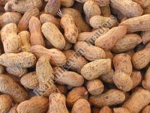 Grade A Shelled Groundnuts
