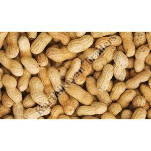 Natural Raw Shelled Groundnuts