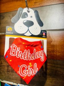 Dog Birthday Bandana