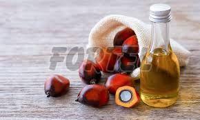 Palm Oil