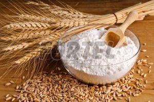 Wheat Flour