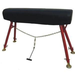 Gymnastic Pommel Horse