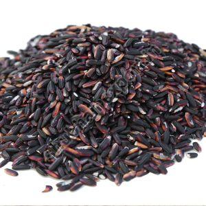 Black Rice