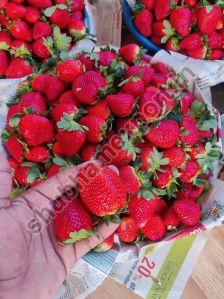 Fresh Strawberry