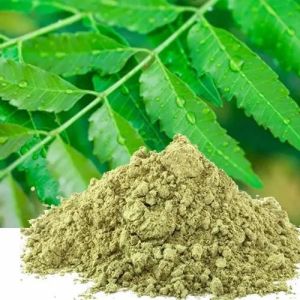 Neem Powder