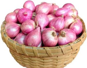 Fresh Red Onion