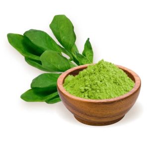 Dehydrated Spinach Powder