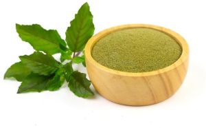 dehydrated tulsi leaf powder