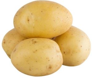 Fresh Potato