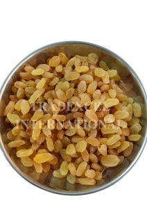 Premium Quality Golden Raisins