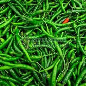 Indian Green Chilli