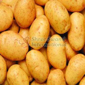 Natural Fresh Potato