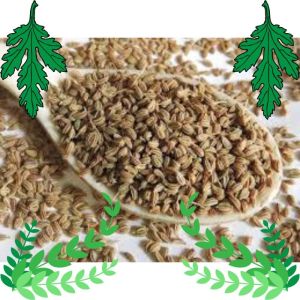 Ajwain Seeds