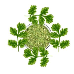 Dried Coriander Leaves