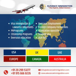 visa processing services