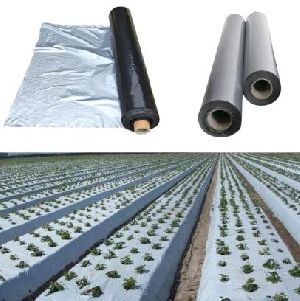 Biodegradable Mulching Film