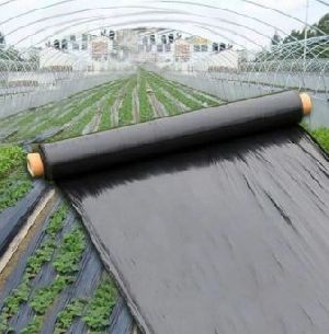 Black Mulching Film