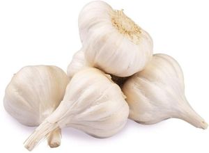 A Grade White Fresh Garlic