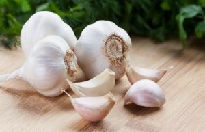 Fresh Garlic