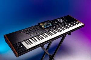 Korg PA5X 61-key Professional Arranger Workstation Keyboard