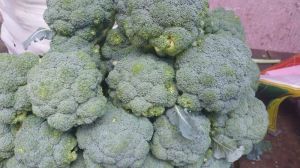 Fresh Broccoli