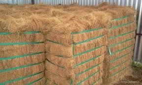 Coir Fiber